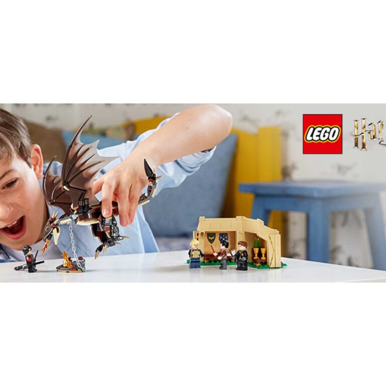 LEGO 75946 Harry Potter Hongaarse Hoornstaart Toverschool Toernooi - 75946 1 7 1