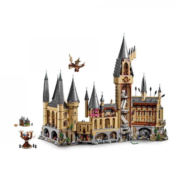 LEGO 71043 - Kasteel Zweinstein™ Hogwarts™ Castle - LEGO 71043 INT 21