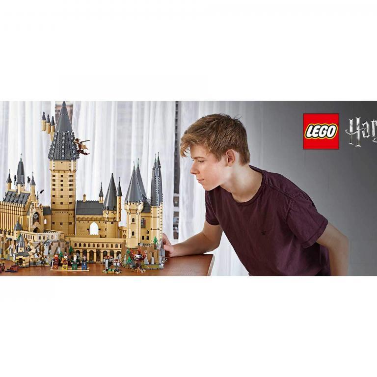 LEGO 71043 - Kasteel Zweinstein™ Hogwarts™ Castle - LEGO 71043 INT 7