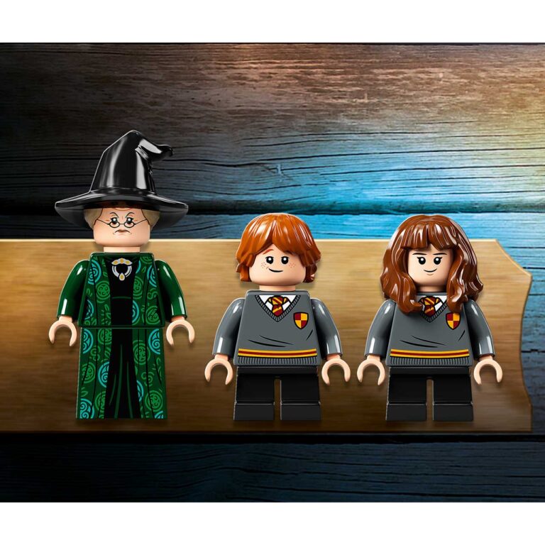 LEGO 76382 Harry Potter™ Zweinstein™ Moment: Transfiguratieles - 76382 WEB Lineup