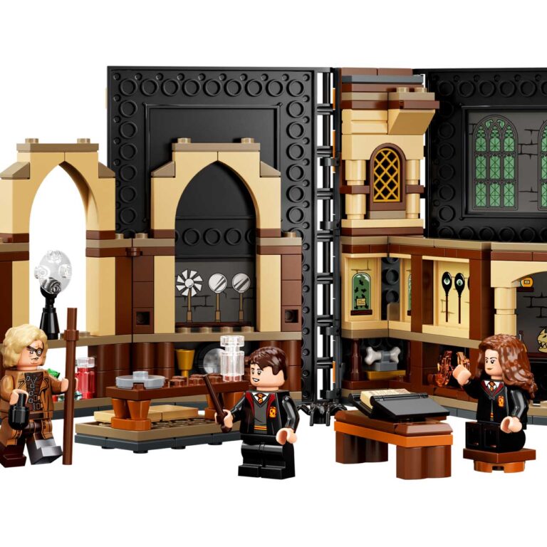 LEGO 76397 Harry Potter Zweinstein™ Moment: Verweerles - LEGO 76397