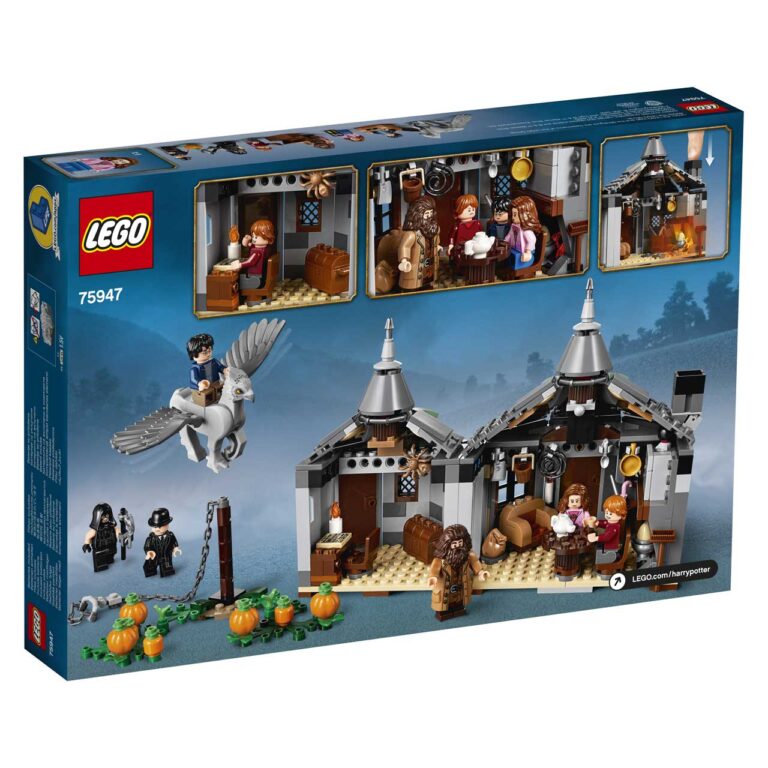LEGO 75947 Harry Potter Hagrids Huisje - LEGO 75947 INT 10