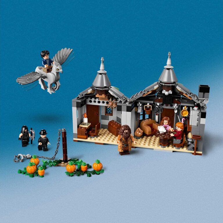 LEGO 75947 Harry Potter Hagrids Huisje - LEGO 75947 INT 4