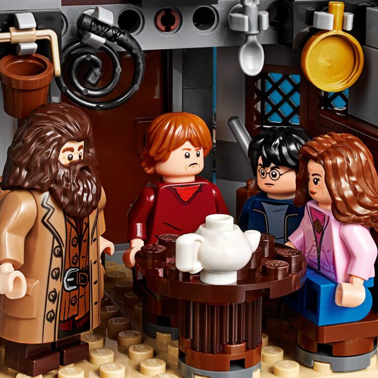 LEGO 75947 Harry Potter Hagrids Huisje - LEGO 75947 INT 5