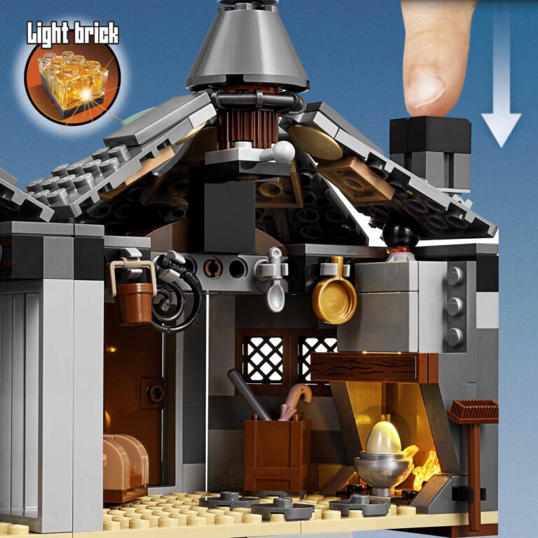 LEGO 75947 Harry Potter Hagrids Huisje - LEGO 75947 INT 6