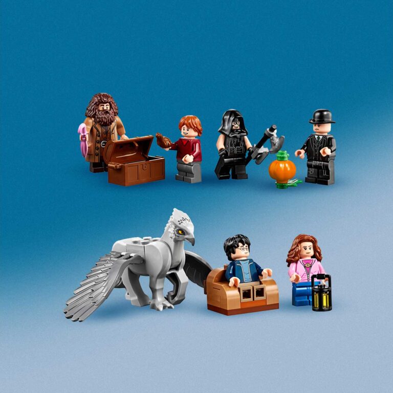 LEGO 75947 Harry Potter Hagrids Huisje - LEGO 75947 INT 7