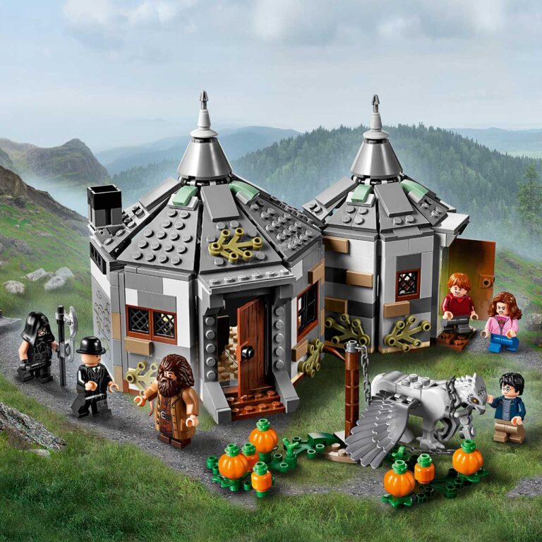 LEGO 75947 Harry Potter Hagrids Huisje - LEGO 75947 INT 8