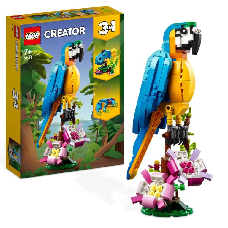 LEGO 31136 Creator Exotische papegaai - LEGO 31136 L2 2