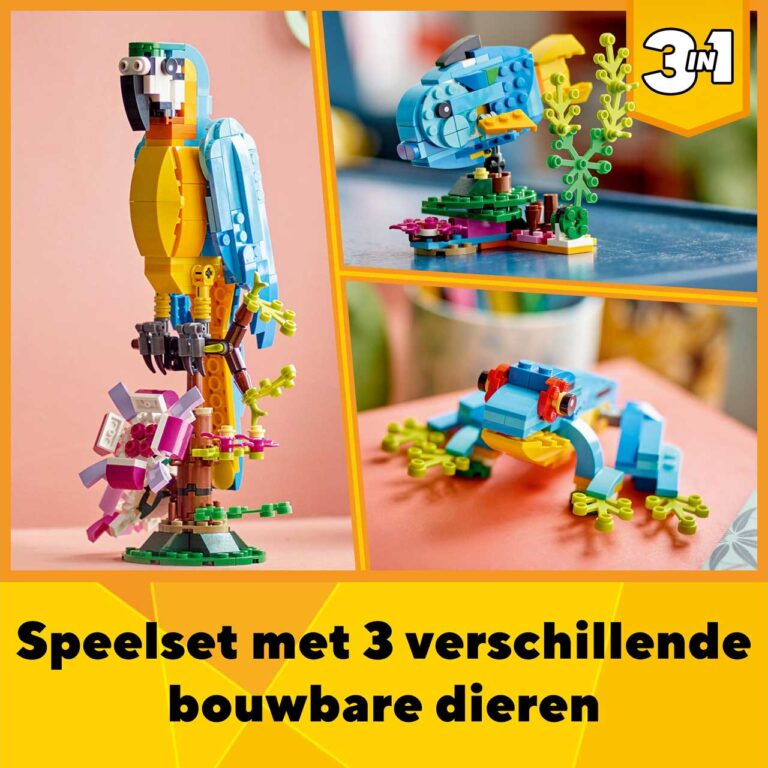LEGO 31136 Creator Exotische papegaai - LEGO 31136 L35 11
