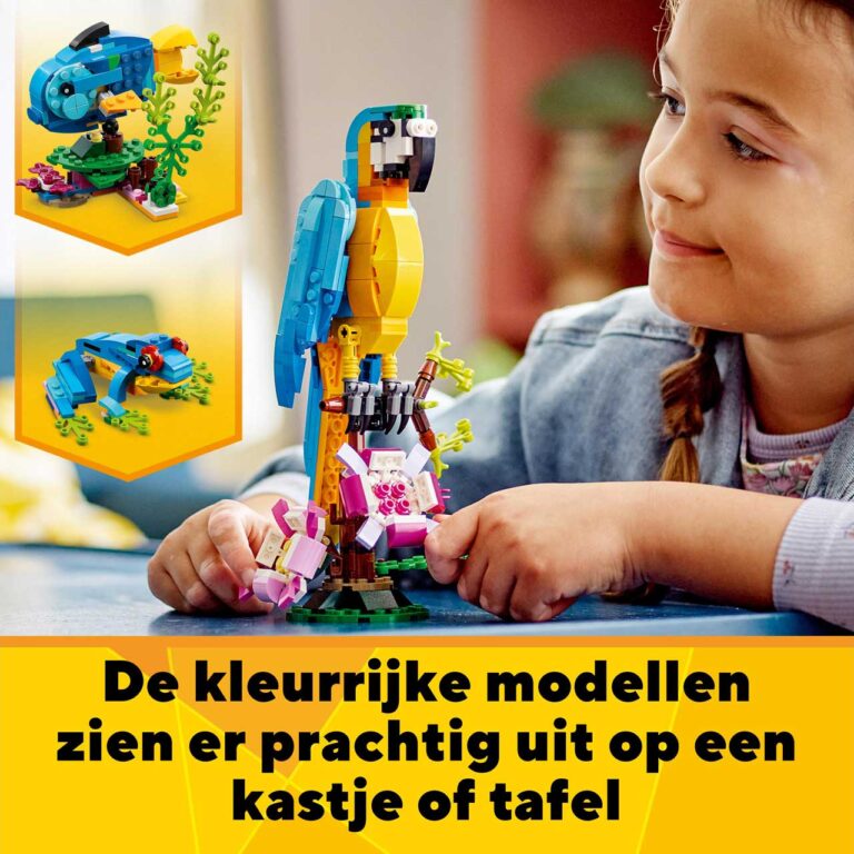 LEGO 31136 Creator Exotische papegaai - LEGO 31136 L37 13