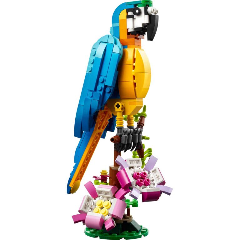 LEGO 31136 Creator Exotische papegaai - LEGO 31136 L54 3