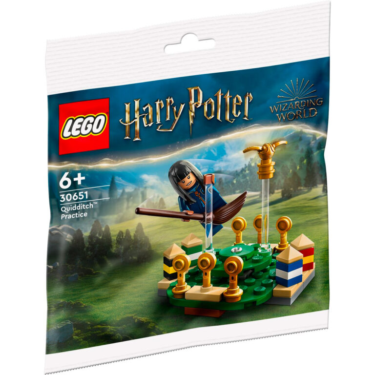 LEGO 30651 Harry Potter Zwerkbal training - LEGO 30651