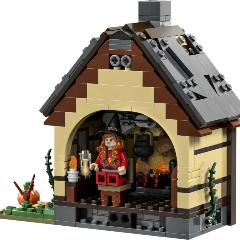 LEGO 21341 Ideas Ideas Disney Hocus Pocus - LEGO 21341 Back 01 02