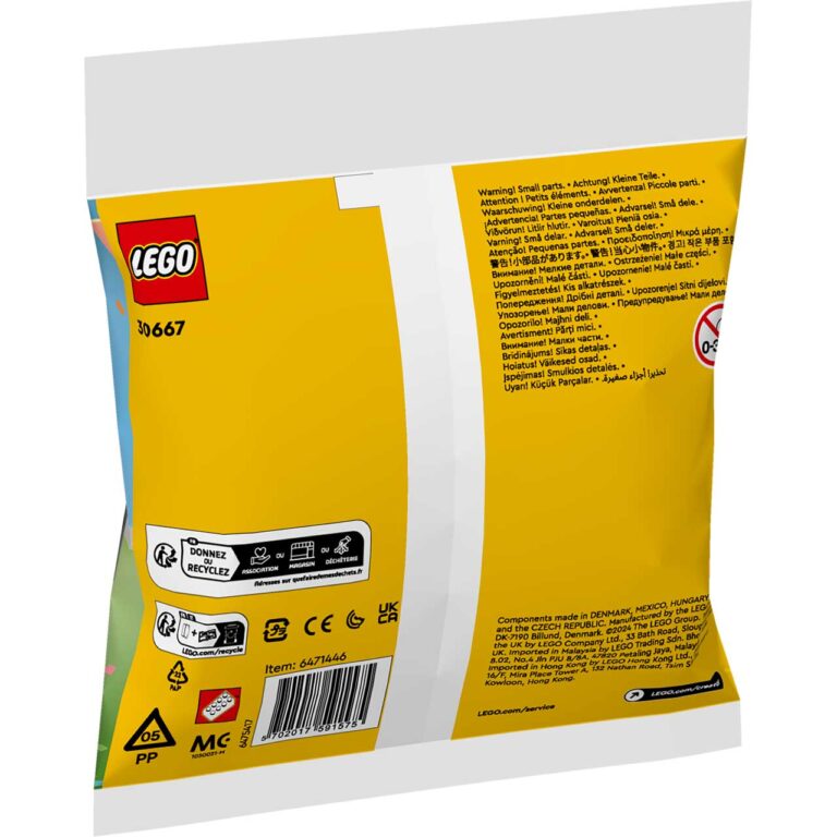 LEGO 30667 Polybag Dierenverjaardagsfeest - LEGO 30667 Box5 v29