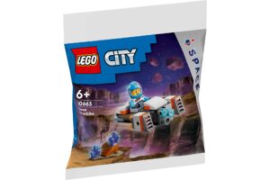 LEGO 30663
