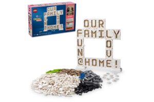 LEGO 41839