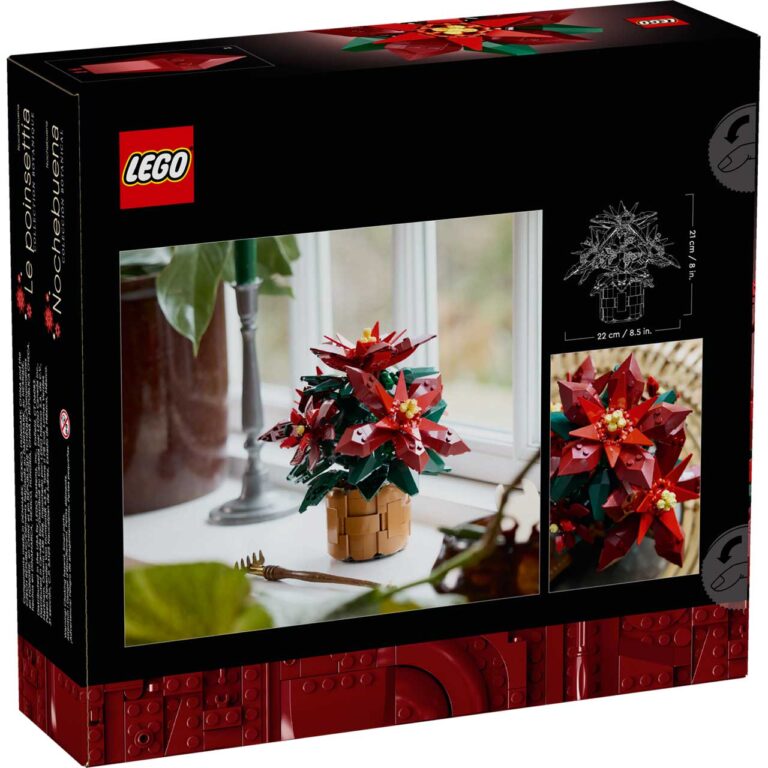 LEGO 10370 Icons Kerstster - LEGO 10370 Box5 v39