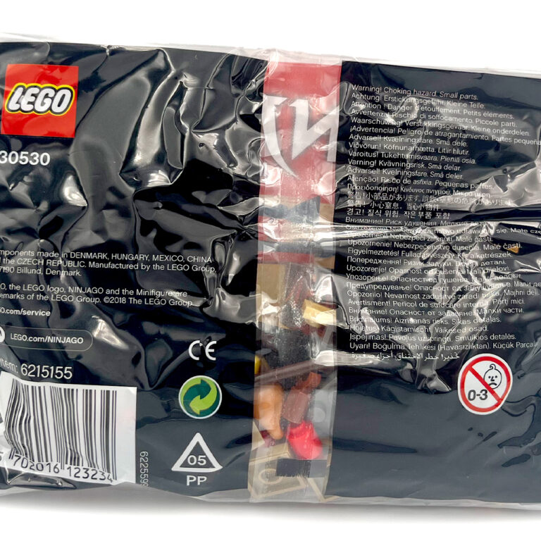 LEGO 30530 Polybag Ninjago WU-CRU Target Training - LEGO 30530 2